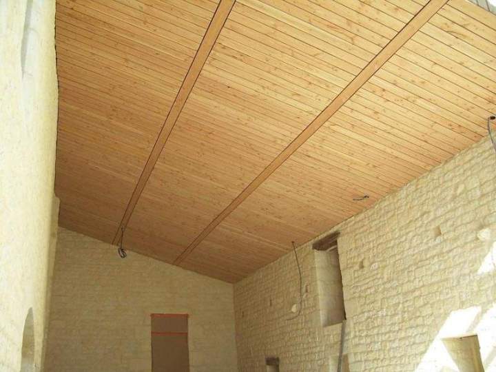 Montage charpente bois Niort (48)